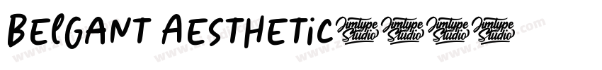 Belgant Aesthetic字体转换